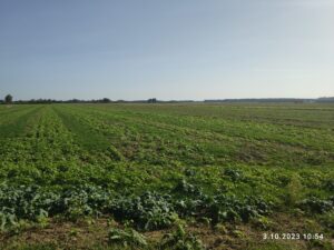 03 października km 603+600 - przed rozpoczęciem robót'