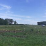 08 maja km 608+950’ wykarczowano i usunięto karpiny