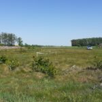 16 maja km 608+950’ wykarczowano i usunięto karpiny