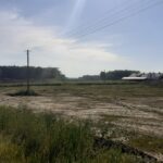 21 maja km 601+500 odhumusowanie