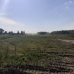 21 maja km 603+600 odhumusowanie