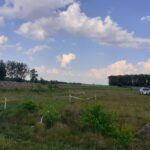 21 maja km 608+950’ wykarczowano i usunięto karpiny