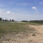 27 maja km 603+600 odhumusowanie