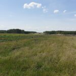 27 maja km 608+950 wykarczowano i usunięto karpiny