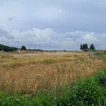 02 lipca  km 602+900’ roboty ziemne