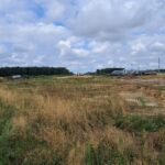 15 lipca  km 601+500 odhumusowanie