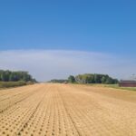 19 sierpnia km 601+500 budowa nasypu