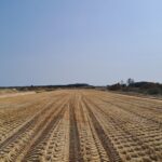 26 sierpnia  km 601+500’ odhumusowanie