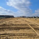 03 marca km 601+500 budowa nasypu