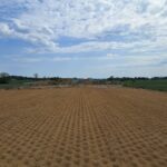 22 kwietnia km 610+700’ budowa nasypu widok w kierunku odcinka IX