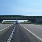 05.06.2025r. Przejście dla zwierząt PZGs77B, 619+600 km