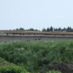 10.06.2025 585+900 PZGs-55 układanie siatki zgrzewanej pod zabezpiczenie izolacji w-wą betonu gr. 8 cm