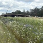 24.06.2025 Widok na obiekt PZDg 43A km. 570+752