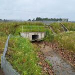 27.06.2025r. Przepust PHDW2, DW811 0+150 km