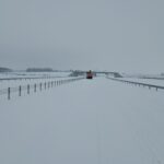 15 stycznia km 598+200 nawierzchnia C35_45 powierzchniowe utrwalenie pasa rozdziału i montaż barier linowych widok w ki