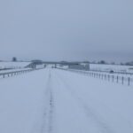 26.01.2026 594+500 WD-60 widok