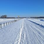 03 lutego km 604+400’ nawierzchnia betonowa C35_45 powierzchniowe utrwalenie pasa rozdziału montaż barier linowych