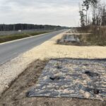 01.04.2026 Nasadzenia roślinne przy DJ-P-10B