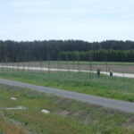 25.05.2026 595+200 str. prawa nasadzenia drzew